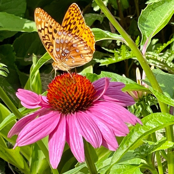 Like it? Make an offer! - Picture 6 of 9